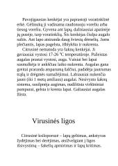 Egžotiškieji kambarių gyventojai 19 puslapis