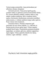 Egžotiškieji kambarių gyventojai 20 puslapis