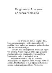 Egžotiškieji kambarių gyventojai 7 puslapis