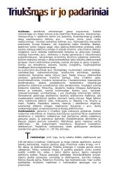 Triukšmas ir jo padariniai