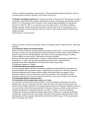 Inžinierinių statinių pagrindai 3 puslapis