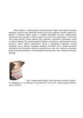 Ugnies laikrodžiai 2 puslapis