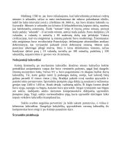 Ugnies laikrodžiai 6 puslapis