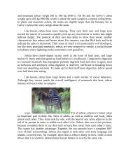 About zebras 2 puslapis