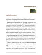 Saulės energijos panaudojimas 11 puslapis