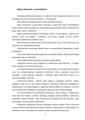 Ministerijos raštvedybos sistema 11 puslapis