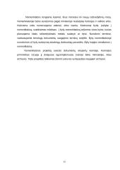 Ministerijos raštvedybos sistema 12 puslapis