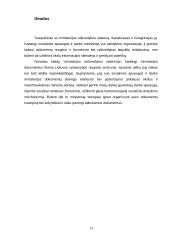 Ministerijos raštvedybos sistema 13 puslapis