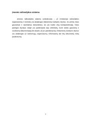 Ministerijos raštvedybos sistema 3 puslapis