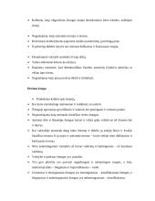 Platonas "Valstybė" 2 puslapis