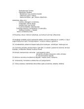 Sakralinės architektųros sąndara dailėje 2 puslapis