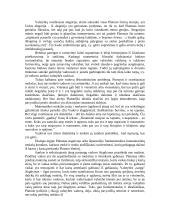 Platono vastybė 2 puslapis