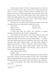 J. Brodskio eilėraščių analizė 5 puslapis