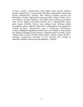 Jonas Basanavičius ir jo biografija 4 puslapis