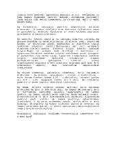 Gyvsidabrio poveikis organizmui 3 puslapis