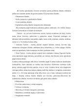 Makroekonomikos ir mikroekonomikos teorijos taikymas transporto sektoriuje 12 puslapis