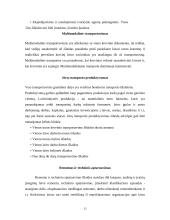 Makroekonomikos ir mikroekonomikos teorijos taikymas transporto sektoriuje 13 puslapis