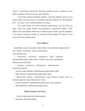 Makroekonomikos ir mikroekonomikos teorijos taikymas transporto sektoriuje 14 puslapis