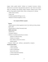 Makroekonomikos ir mikroekonomikos teorijos taikymas transporto sektoriuje 16 puslapis