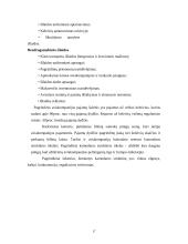 Makroekonomikos ir mikroekonomikos teorijos taikymas transporto sektoriuje 17 puslapis