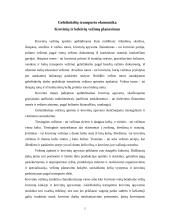 Makroekonomikos ir mikroekonomikos teorijos taikymas transporto sektoriuje 5 puslapis