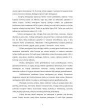 Makroekonomikos ir mikroekonomikos teorijos taikymas transporto sektoriuje 6 puslapis