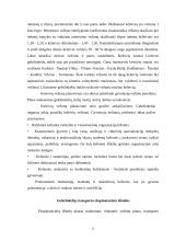 Makroekonomikos ir mikroekonomikos teorijos taikymas transporto sektoriuje 8 puslapis