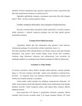 Makroekonomikos ir mikroekonomikos teorijos taikymas transporto sektoriuje 10 puslapis