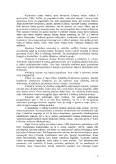 Lietuvos istorijos įvadas 4 puslapis