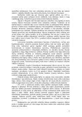 Lietuvos istorijos įvadas 5 puslapis