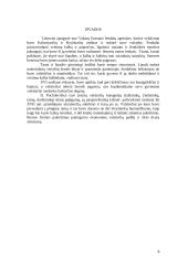 Lietuvos istorijos įvadas 8 puslapis