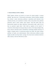 Konservatizmas pasaulyje ir pagrindinės idėjos 4 puslapis