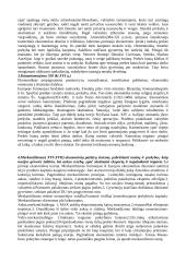 Klasikinės ekonomikos pradžia 2 puslapis