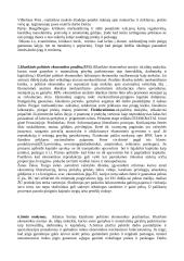 Klasikinės ekonomikos pradžia 3 puslapis