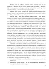 Ekranų gamybos pagrindai 12 puslapis