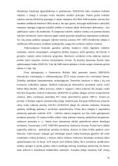 Ekranų gamybos pagrindai 16 puslapis