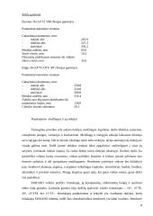 Ekranų gamybos pagrindai 8 puslapis