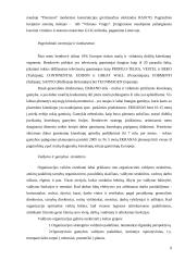 Ekranų gamybos pagrindai 9 puslapis