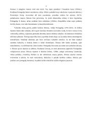 Portugalijos  valstybės istorija 3 puslapis