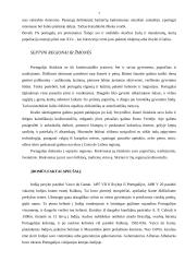 Portugalijos  valstybės istorija 7 puslapis