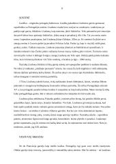 Portugalijos  valstybės istorija 8 puslapis