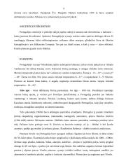 Portugalijos  valstybės istorija 9 puslapis