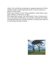 Savana Afrikoje 2 puslapis