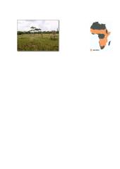 Savana Afrikoje 3 puslapis