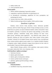 Kas yra pirmoji medicinos pagalba?  4 puslapis