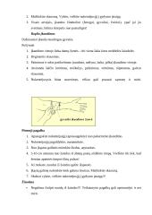 Kas yra pirmoji medicinos pagalba?  5 puslapis