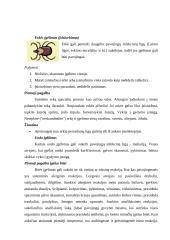 Kas yra pirmoji medicinos pagalba?  6 puslapis