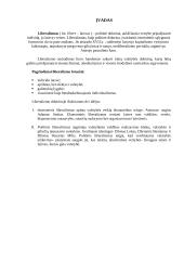 Liberalizmas politikoje