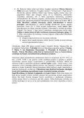 Liberalizmas politikoje 3 puslapis