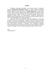 Liberalizmas politikoje 9 puslapis